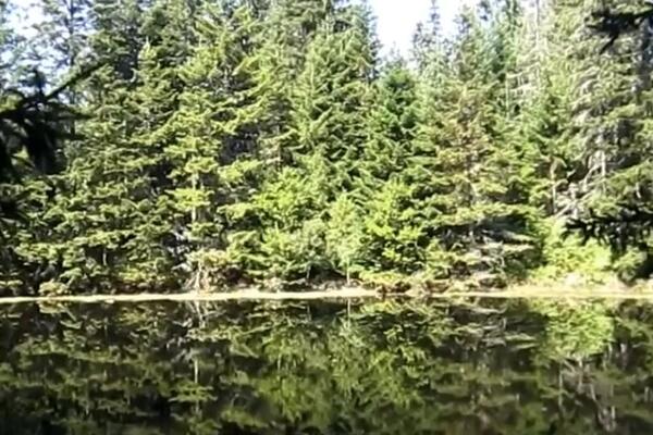 Mnogi ni ne znaju da u Srbiji postoji ovaj skriveni dragulj: Veruje se da su baš ovde živele vile (FOTO)
