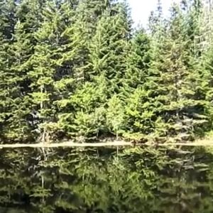 Mnogi ni ne znaju da u Srbiji postoji ovaj skriveni dragulj: Veruje se da su baš ovde živele vile (FOTO)