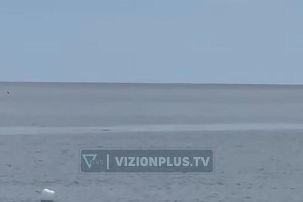 Kamera snimila ŠOK STVORENJE u Jadranu! Smatralo se IZUMRLIM, a onda se pojavilo! Namamilo ga ovo