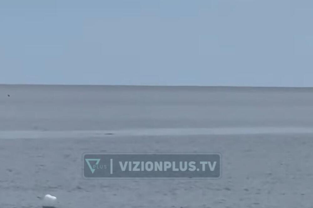 Kamera snimila ŠOK STVORENJE u Jadranu! Smatralo se IZUMRLIM, a onda se pojavilo! Namamilo ga ovo