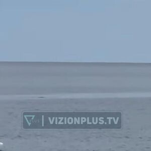 Kamera snimila ŠOK STVORENJE u Jadranu! Smatralo se IZUMRLIM, a onda se pojavilo! Namamilo ga ovo