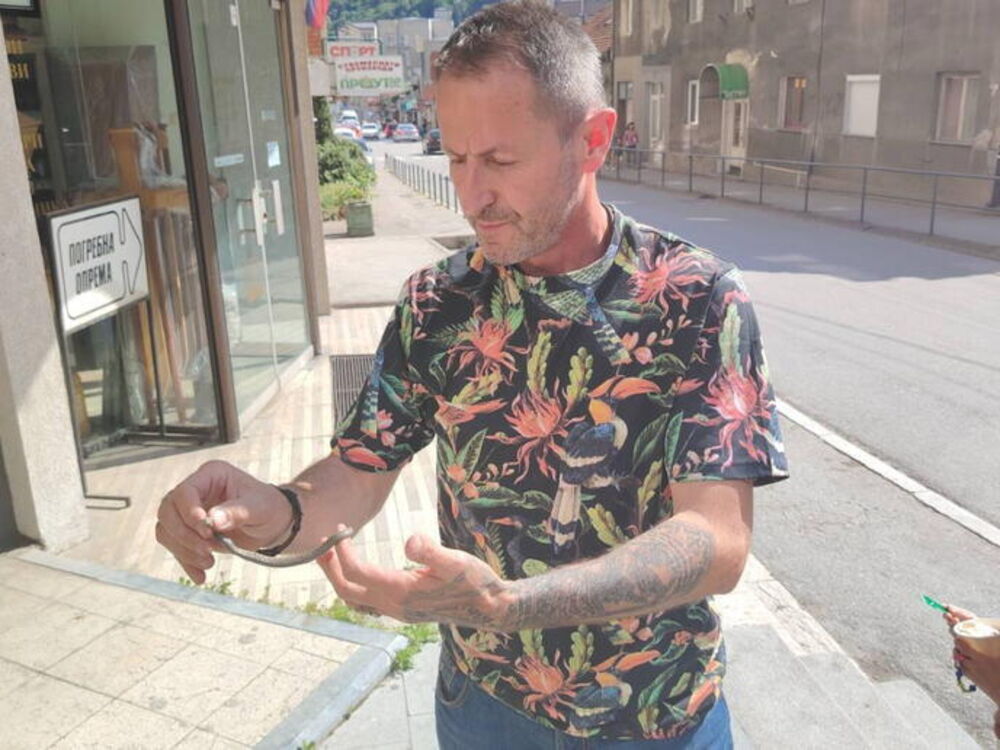 Arsenije Hadži Basur Zmaj
