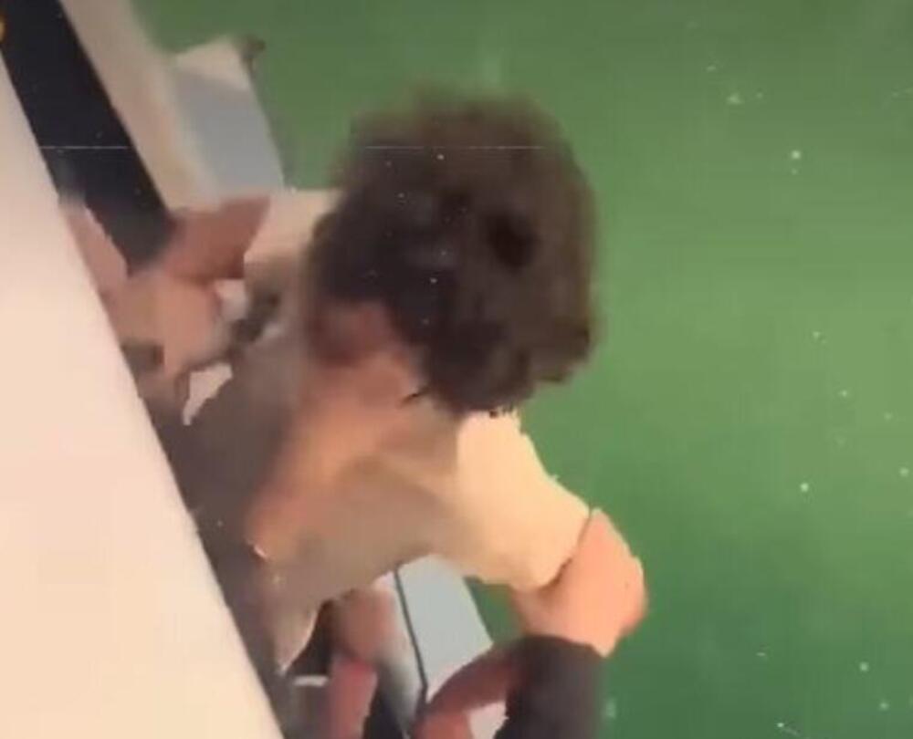 ALEKSANDRA TUKLI I PONIŽAVALI, on skočio sa broda 