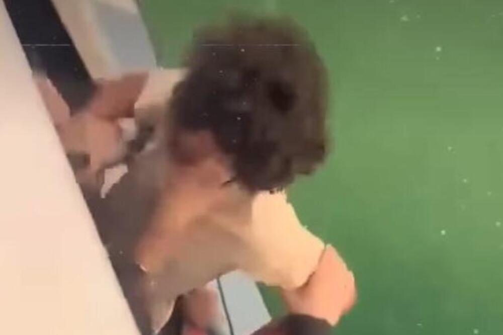 ALEKSANDRA TUKLI I PONIŽAVALI, on skočio sa broda da spase živu glavu, PA SE UTOPIO! Isplivao snimak HORORA (VIDEO)