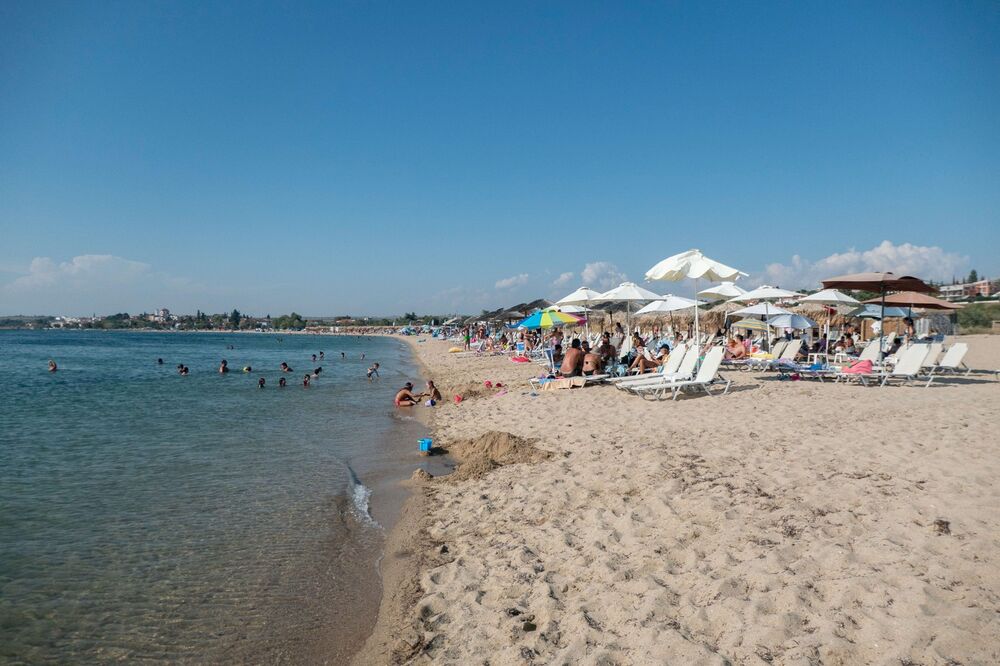 Toroni