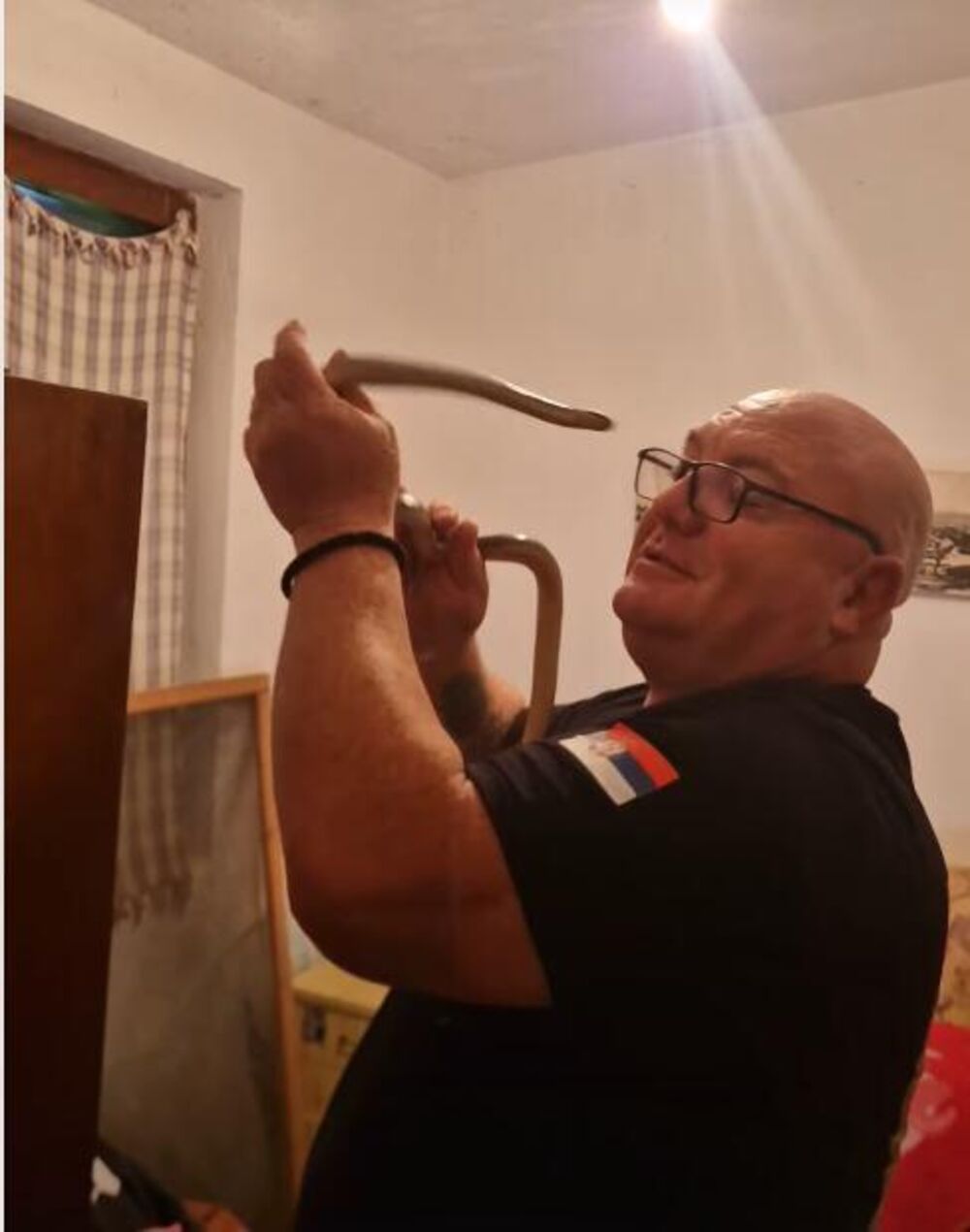 Zmija, Vladica Stanković