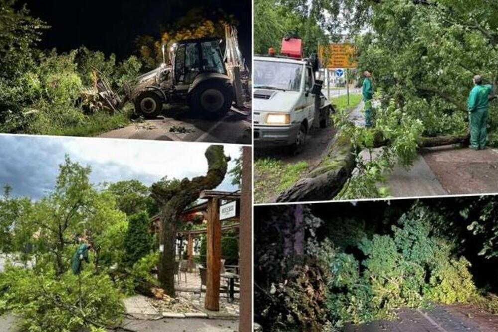 Vetar napravio haos, čupao drveće: Olujno nevreme zahvatilo ovaj grad u Srbiji (FOTO)