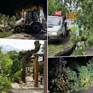 Nevreme napravilo haos, čupalo drveće: Olujno nevreme zahvatilo ovaj grad u Srbiji (FOTO)