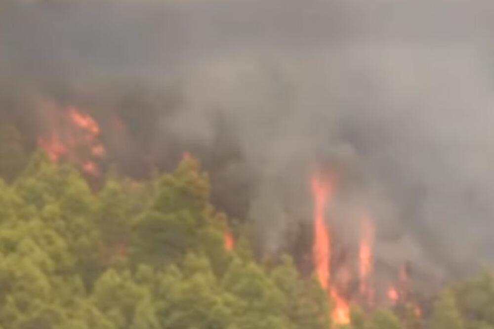 Ogroman požar izbio u Grčkoj: U gašenju učestvuje veliki broj vatrogasaca i avion!