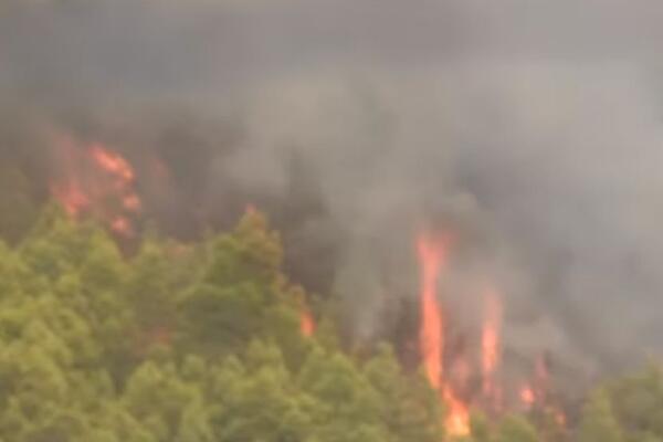 Ogroman požar izbio u Grčkoj: U gašenju učestvuje veliki broj vatrogasaca i avion!