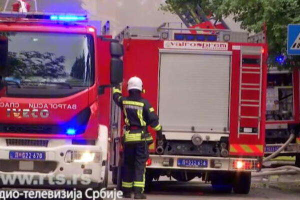 Vatrena stihija kod Umke: Vatrogasci na terenu, evo šta gori