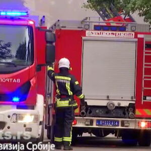 Vatrena stihija kod Umke: Vatrogasci na terenu, evo šta gori
