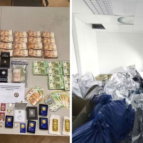 EVO KAKO JE PAO PEDANTNI ŠEF "PSIHONAUT"! Imao BAŠTOVANE iz Srbije, radno vreme i direktora, radili kao da su FIRMA