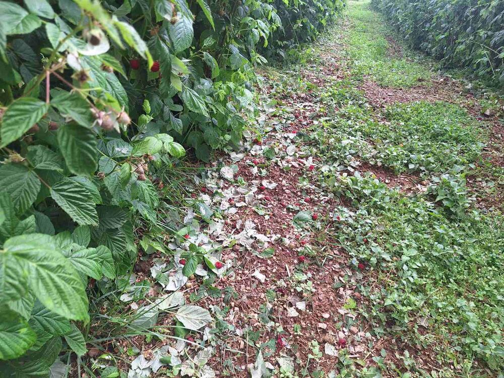 "PREGORELI SU KUĆNI APARATI, VEŠ MAŠINA, FRIŽIDER" Nevreme napravilo HAOS U OVOM DELU SRBIJE - grad sve nosio