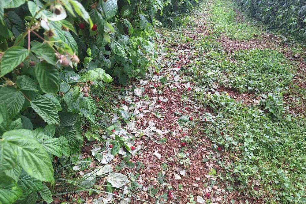 "PREGORELI SU KUĆNI APARATI, VEŠ MAŠINA, FRIŽIDER" Nevreme napravilo HAOS U OVOM DELU SRBIJE - grad sve nosio