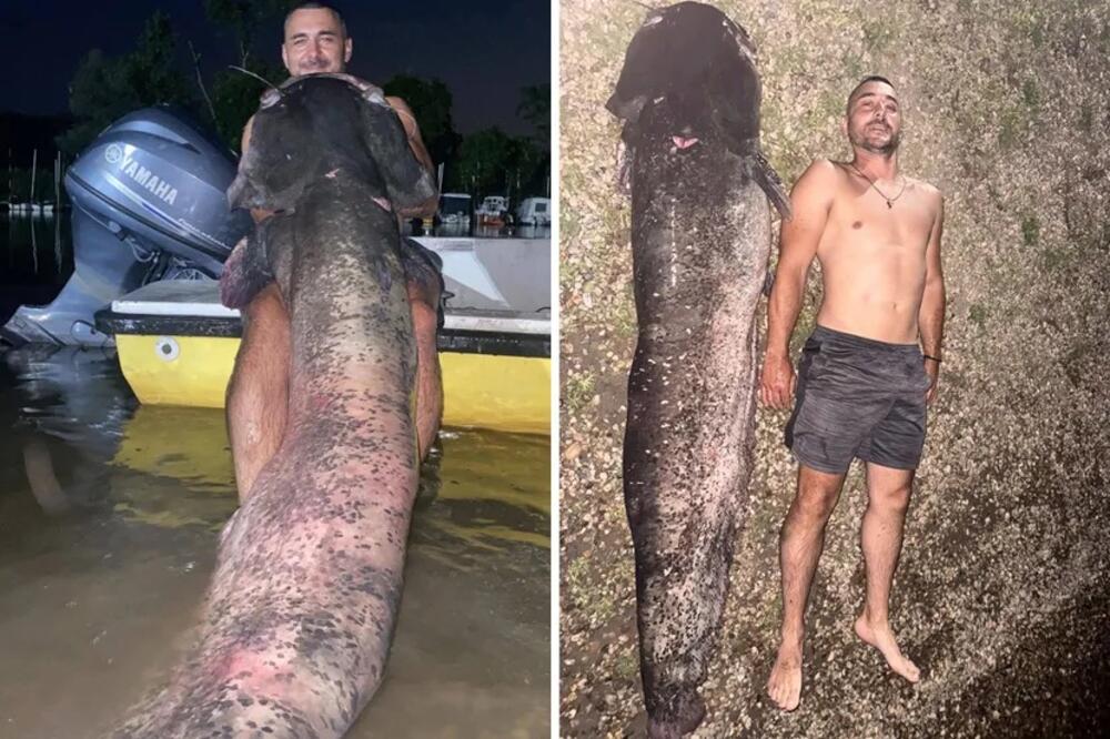 ISKUSNI MIKI IZVUKAO REČNU NEMAN SA UŠĆA TAMIŠA: "Vukao me je 30 metara", džin je veći od njega! (FOTO)