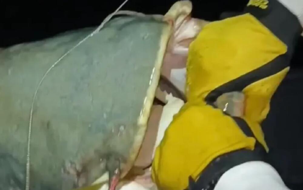 Srbin ulovio kapitalca od 65 kilograma u Španiji: "Srce je htelo da iskoči" (VIDEO)