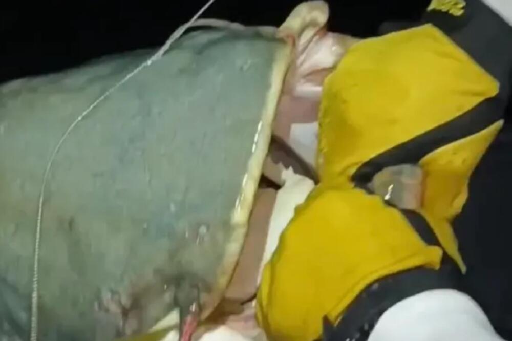 Srbin ulovio kapitalca od 65 kilograma u Španiji: "Srce je htelo da iskoči" (VIDEO)