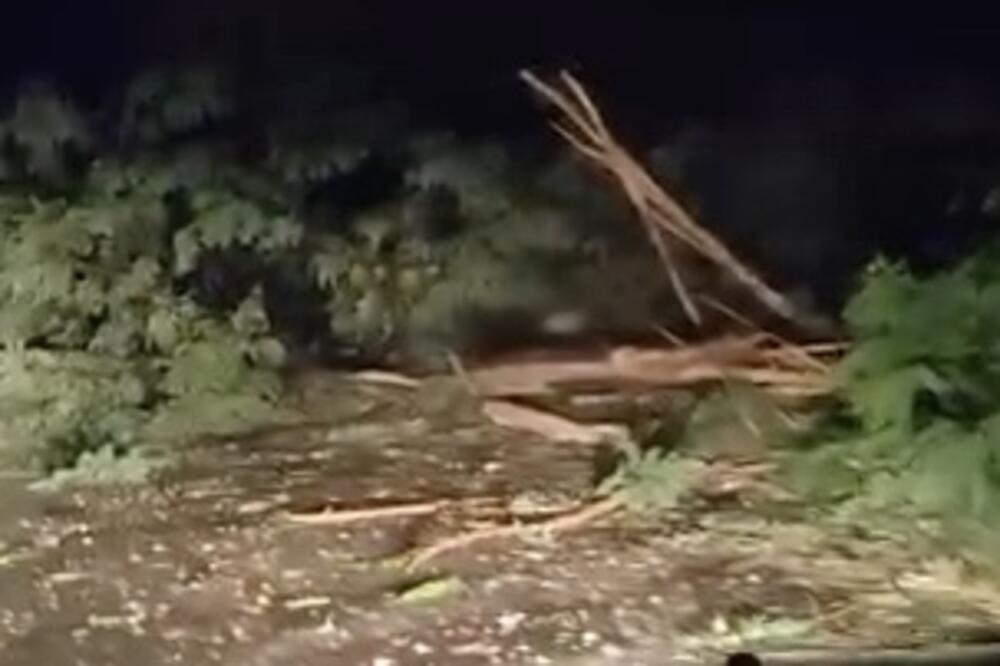 VELIKOM SILINOM UDARIO GROM! Haos u OVOM DELU SRBIJE - OLUJA KIDALA DRVEĆE, PREGORELI KUĆNI APARATI