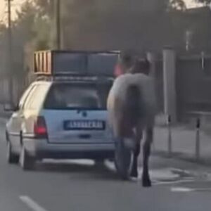 (UZNEMIRUJUĆI VIDEO) Nečovek stavio konju ular na glavu, pa ga vezao za auto, dao gas i VUKAO po Kruševcu: JEZIVO!