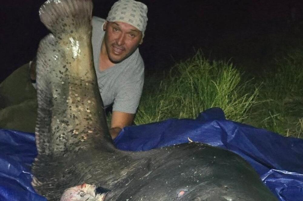 Milan iz Dunava izvukao soma dugačkog 246 centimetara: Odmah se pohvalio slikom, oborio je rekord (FOTO)