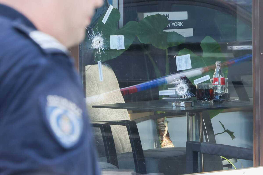 Darko Vesković Prika