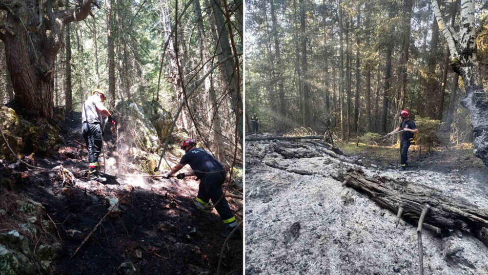 Gori šuma na granici Srbije i Crne Gore: Vatrogasci se bore sa stihijom! (FOTO)