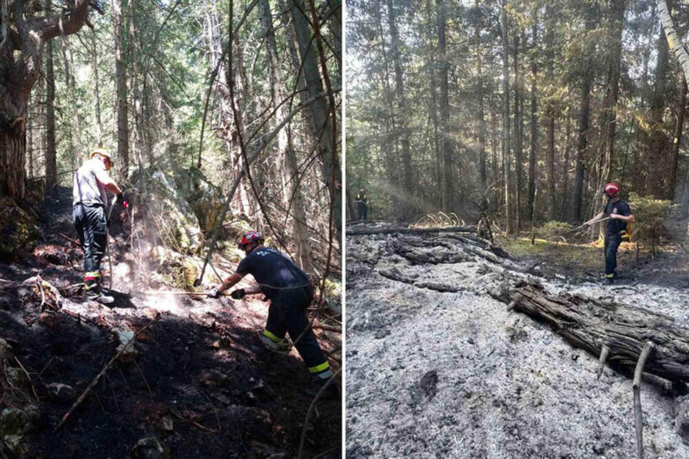 Gori šuma na granici Srbije i Crne Gore: Vatrogasci se bore sa stihijom! (FOTO)