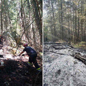 Gori šuma na granici Srbije i Crne Gore: Vatrogasci se bore sa stihijom! (FOTO)