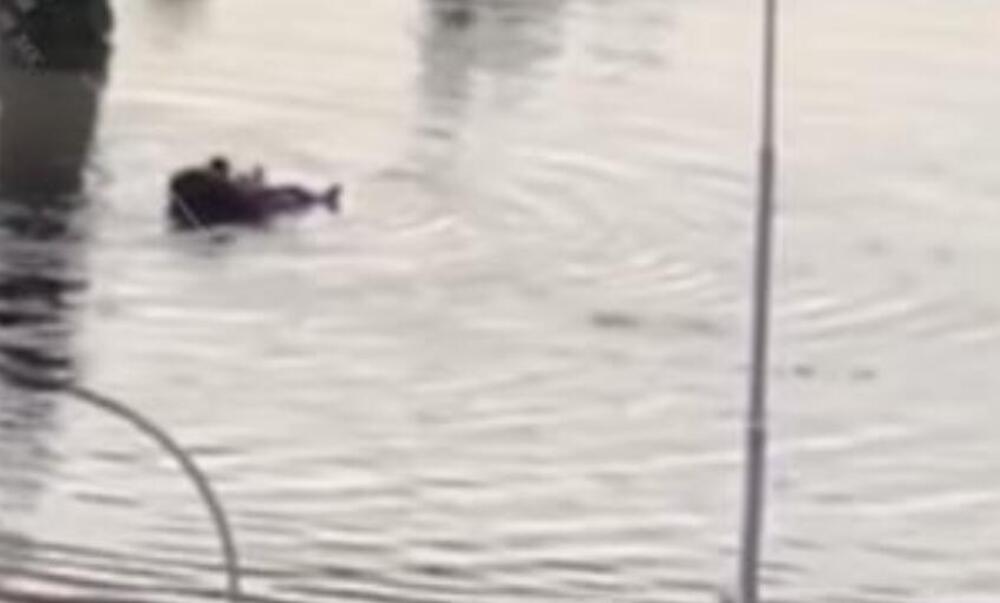 JAKO NEVREME NAPRAVILO POPLAVE U KOMŠILUKU: Bujica vode nosi sve pred sobom, a čovek se dovatio dušeka i... (VIDEO)