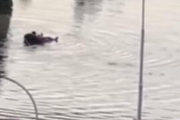 JAKO NEVREME NAPRAVILO POPLAVE U KOMŠILUKU: Bujica vode nosi sve pred sobom, a čovek se dovatio dušeka i... (VIDEO)