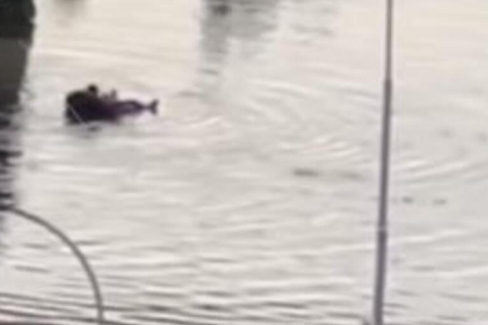 JAKO NEVREME NAPRAVILO POPLAVE U KOMŠILUKU: Bujica vode nosi sve pred sobom, a čovek se dovatio dušeka i... (VIDEO)