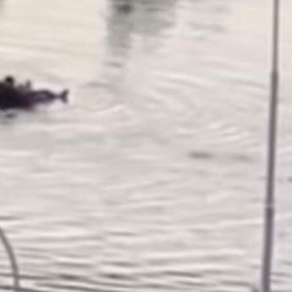 JAKO NEVREME NAPRAVILO POPLAVE U KOMŠILUKU: Bujica vode nosi sve pred sobom, a čovek se dovatio dušeka i... (VIDEO)