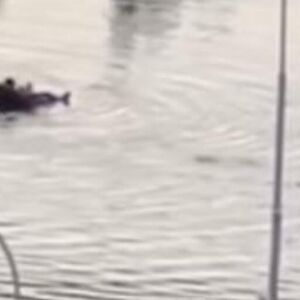 JAKO NEVREME NAPRAVILO POPLAVE U KOMŠILUKU: Bujica vode nosi sve pred sobom, a čovek se dovatio dušeka i... (VIDEO)