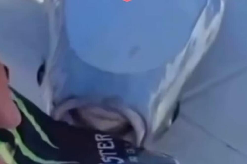 Ako ulovite otrovnu ribu evo koliko vam novca sledi: Grci plaćaju papreno, njen toksin je SMRTONOSAN (VIDEO)