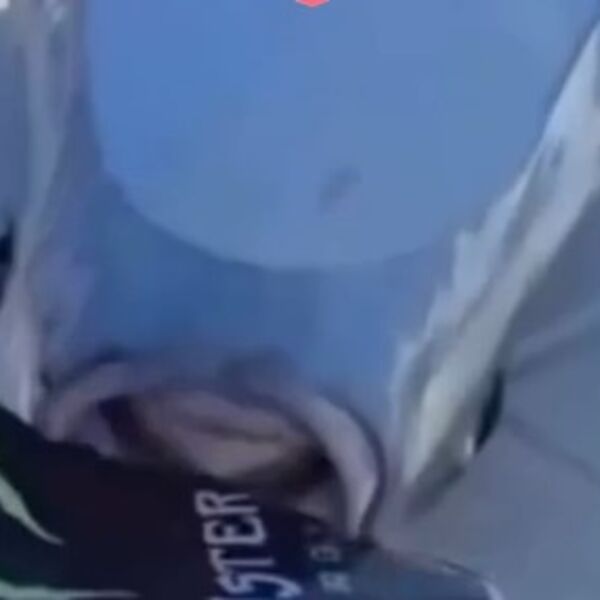 Ako ulovite otrovnu ribu evo koliko vam novca sledi: Grci plaćaju papreno, njen toksin je SMRTONOSAN (VIDEO)