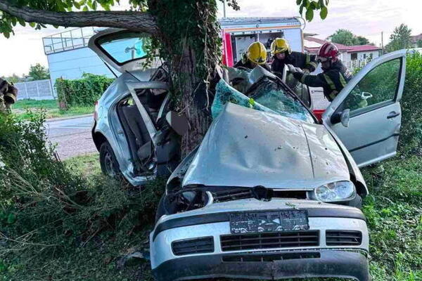 TRAGEDIJA KOJA JE POTRESLA SRBIJU: Brzina ugasila dva mlada života na ulazu u Banju Koviljaču! (FOTO)