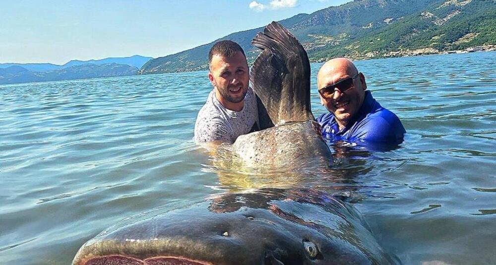 "Borba je trajala pola sata" Milan iz Dunava izvukao grdosiju tešku 113 kilograma - otkrio kako se izborio (FOTO)