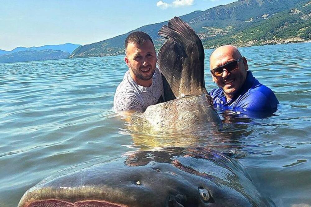 "Borba je trajala pola sata" Milan iz Dunava izvukao grdosiju tešku 113 kilograma - otkrio kako se izborio (FOTO)