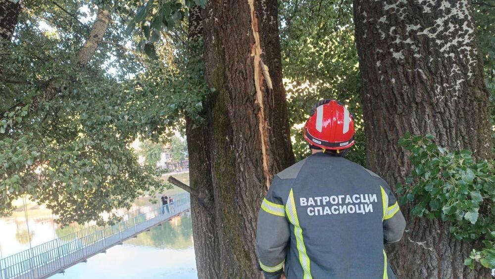 U OVOM DELU SRBIJE GROM RASCEPAO STABLO OD 30 METARA: Krhotine letele ulicom, zapalio se strujomer (FOTO)