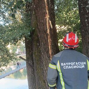 U OVOM DELU SRBIJE GROM RASCEPAO STABLO OD 30 METARA: Krhotine letele ulicom, zapalio se strujomer (FOTO)