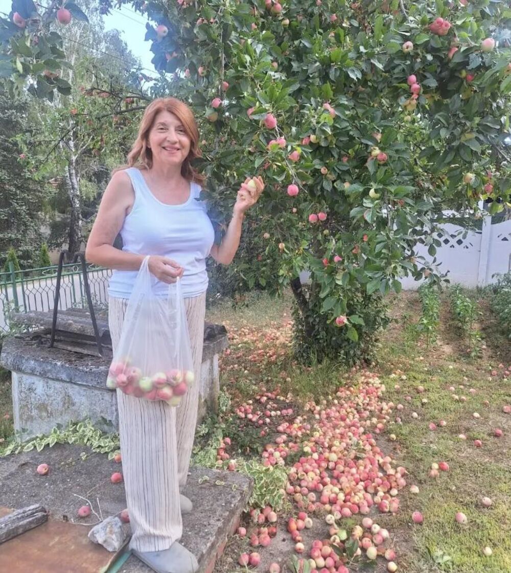 Biljana Jevtić