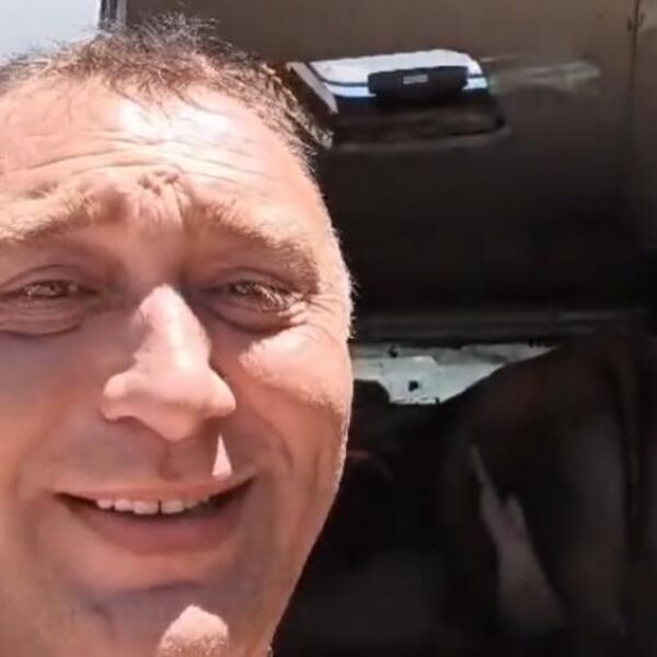 "NE ZNAM DA LI JE OVO DOBRO ILI NIJE..." Rasim stigao sa kravom na more, ljudi napravili haos u komentarima (VIDEO)