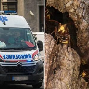 Ženu u kosu ušlo! Srpkinja opisala kako je jedva živu glavu sačuvala: "Svuda su me izujedale"