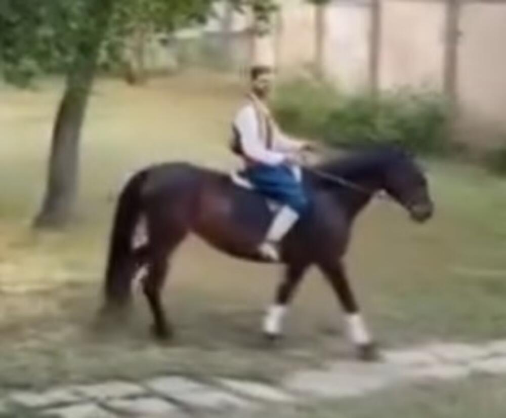 Princ na konju u Novom Sadu: Ovakvu prosidbu do sada niste videli (VIDEO)