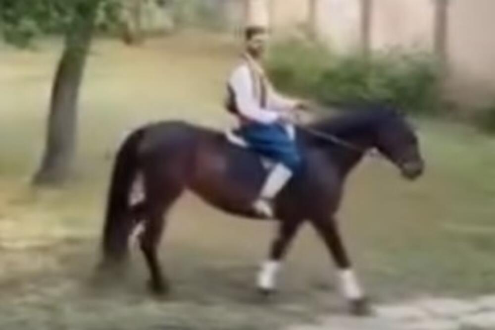 Princ na konju u Novom Sadu: Ovakvu prosidbu do sada niste videli (VIDEO)