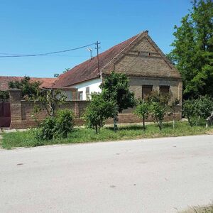 Imanje kraj Tise prodaje se za 32.000 evra: Dve kuće i ogroman plac na 5 minuta hoda od prelepe plaže