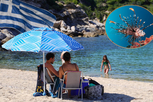 CRVENE TAČKE NA MAPI GRČKE! Otrovna riba lav se širi omiljenim letovalištima Srba, na ovaj "BAPSKI LEK" ZABORAVITE!