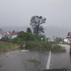 Vetar čupao drveće iz korena! Nevreme opustošilo ovaj grad u Srbiji! Saobraćaj potpuno paralisan