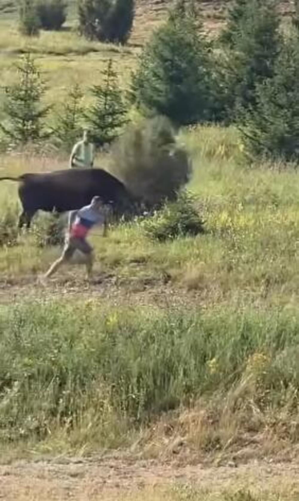 RAZJARENI BIK SE OTEO KONTROLI NA IGMANU, A ONDA... Nastao haos, ljudi u panici bežali, prizori lede krv! (VIDEO)